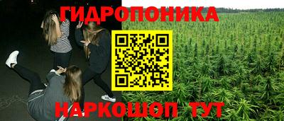 ПСИЛОЦИБИНОВЫЕ ГРИБЫ Краснокаменск