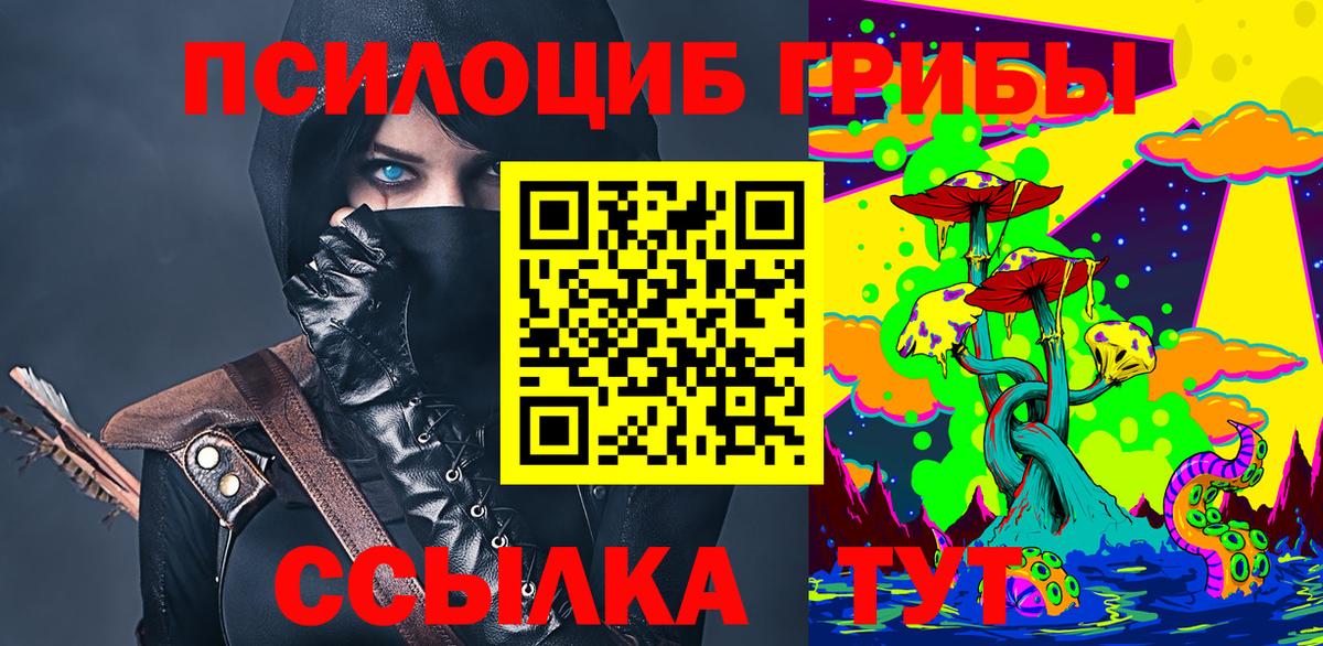 Псилоцибиновые грибы Cubensis Карпинск